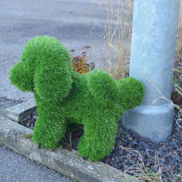 ANIPLANTS Grasfigur Hund